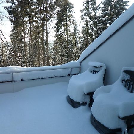 Terrassenhaus Winterberg Διαμέρισμα Εξωτερικό φωτογραφία