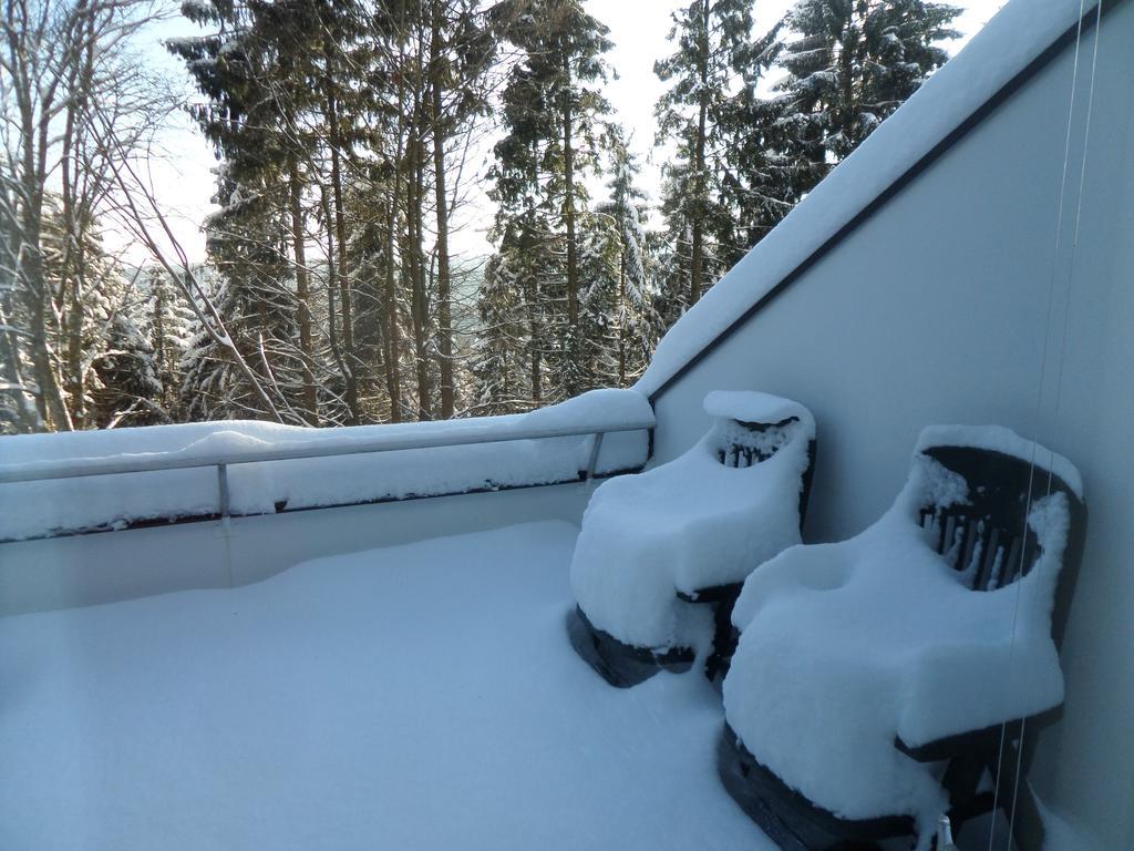 Terrassenhaus Winterberg Διαμέρισμα Εξωτερικό φωτογραφία